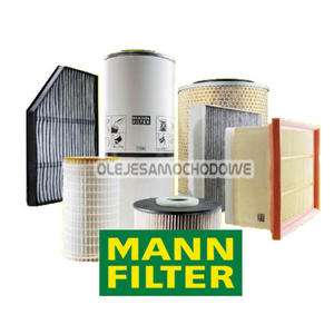 Filtr Powietrza C 4287/1 - 2822773460