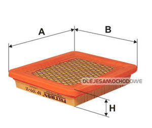 Filtr Powietrza AP 199/11 (kosiarki Briggs and Stratton) - 2822774267