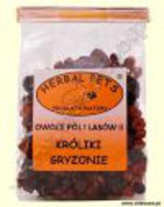 Herbal Pets - Owoce pl i lasw II Krliki i gryzonie 75g/ C06 - 2863804539