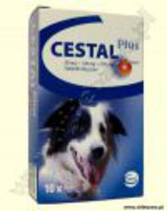 CESTAL PLUS FLAVOUR tabletki odrobaczajce dla psw 1 tabletka - 2834629913