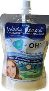 NAPJ JONIZOWANA WODA ALKALICZNA REDOX pH 9,5 240 ml - WODA REDOX - 2878802454