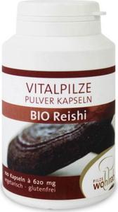 Grzyby reishi (Lakownica lnica) BIO 100 kapsuek - Pilze Wohlrab - 2878346946