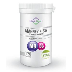 MAGNEZ + WITAMINA B6 120 KAPSUEK 97,5 mg + 1,4 mg SOUL FARM - 2875957897