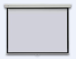 Ekran projekcyjny PROFI manual 240 x 240cm - 2824919006