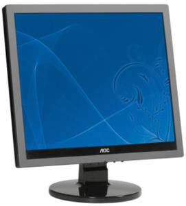 AOC Monitor LCD 919Va2+ 19'',DVI, goniki C3110090 - 2824912164