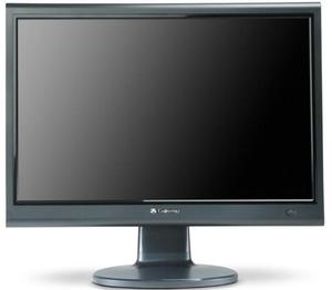 Monitor 1976W DVI - 2824915522