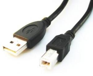 GEMBIRD KABEL USB AM-BM PRINTER 3M BULK *CCP-USB2-AMBM-10 - 2824915566