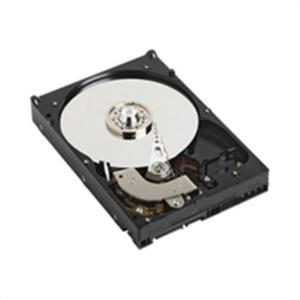 Expr 250GB 7.2K 3.5 SATA HS HDD 43W7598 - 2824917335