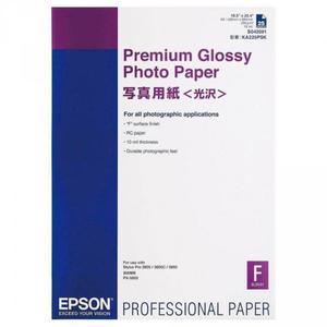 Epson Premium Glossy Photo Paper 255 g, A2 25 arkuszy C13S042091 - 2878099746