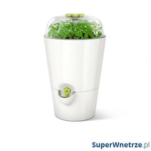 Plantator na zioa 1,2L EMSA Fresh Herbs biay - 2850652082