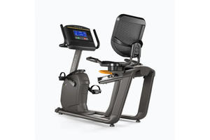 ROWER STACJONARNY RECUMBENT BIKE R30 XR-04 /MATRIX - 2877066600