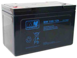 Akumulator elowy AGM MW 12V/100Ah - 2840690583