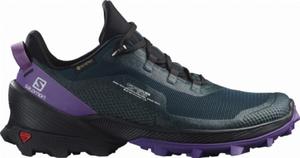 Buty SALOMON CROSS OVER GTX W 414450 (172) - 2872490334