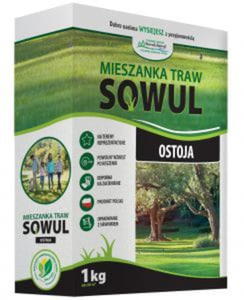 Mieszanka traw OSTOJA - 2859926070