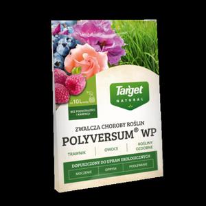 Polyversum - 2874207170