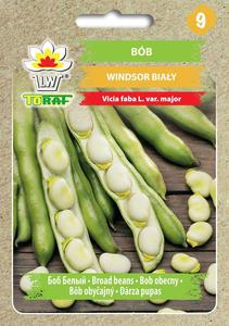 Bb WINDSOR BIAY - 50g (Vicia faba var. major) - 2877126841