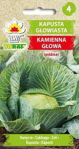 Kapusta gowiasta biaa KAMIENNA GOWA - 2g (Brassica oleracea var. capitata) - 2877126862
