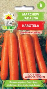 Marchew jadalna KAROTELA - 5g (Daucus carota) - 2876584287