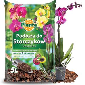 Ziemia - podoe do storczykw 5L pH 5,0 - 6,0 Planta - 2878828443