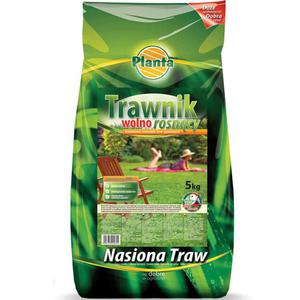 Trawa: TRAWNIK WOLNO ROSNCY 5kg - nie wymaga czstego koszenia - 2875301320