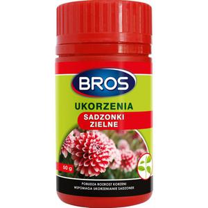 Ukorzeniacz sadzonek zielnych 50g - 2877435592