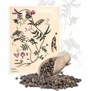 Wyka paszowa - 1kg (Vicia L.) - 2873443192