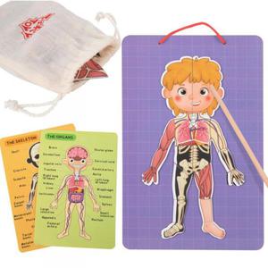 Tooky Toy Drewniane Puzzle Montessori Magnetyczne Nauka Anatomia Czowieka 78el. - 2875212392