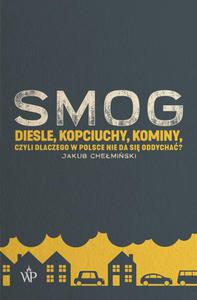 SMOG. Diesle, kopciuchy, kominy, czyli dlaczego w Polsce nie da si oddycha? - 2869581440