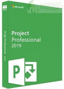 Microsoft Microsoft Project Professional 2019 PL Medialess BOX - 2861169813