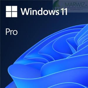 Microsoft Windows 11 Professional PL 64bit OEM DVD - 2867018052