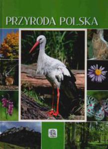 Przyroda polska-op.tw - 2833195121