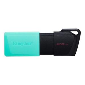 KINGSTON Exodia 256GB USB3.2 teal - 2875189346