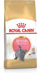 Karma Royal Canin KITTEN BRITISH (10 kg ) - 2877704283
