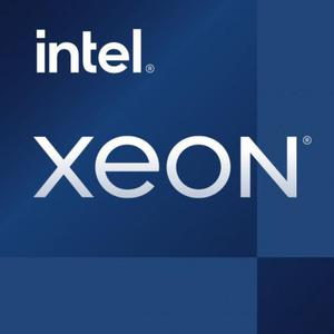 Procesor Intel XEON E-2314 (4C/4T) 2,8GHz (4,5GHz Turbo) Socket LGA1200 TDP 65W TRAY - 2876995312