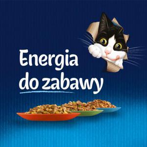 FELIX Woowina w galaretce - saszetka 100g - 2875098768