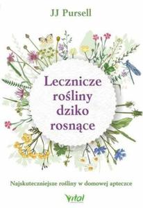 Lecznicze roliny dziko rosnce Najskuteczniejsze roliny w domowej apteczce