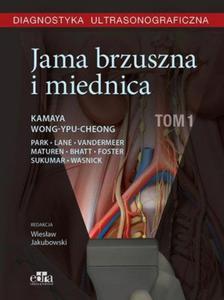 Diagnostyka ultrasonograficzna Jama brzuszna i miednica Tom 1 - 2860971138