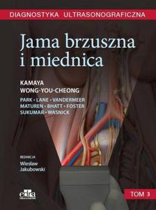 Diagnostyka ultrasonograficzna Jama brzuszna i miednica Tom 3 - 2860971617