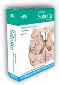 Anatomia Sobotta Flashcards Neuroanatomia Angielskie mianownictwo anatomiczne - 2860971718