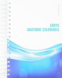 Zarys anatomii czowieka - 2860972228