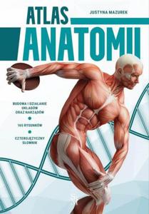 Atlas anatomii - 2874600516