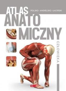 Atlas anatomiczny czowieka - 2874600517