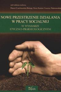 Nowe przestrzenie dziaania w pracy socjalnej w wymiarze... - 2824384450