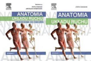 Anatomia ukadu ruchu + Przewodnik do wicze Komplet - 2876863762