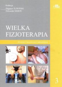 Wielka fizjoterapia Tom 3 - 2824387650