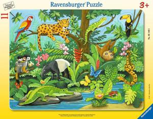 Puzzle 11el Co tu pasuje? Zwierzat deszczowego lasu 051403 RAVENSBURGER - 2871496963