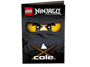 LEGO Ninjago LNR3T Cole - 2859896820