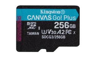 microSDXC Canvas Go Plus 256GB - 2878765491