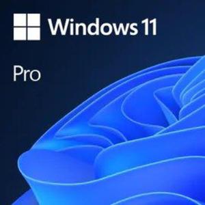 Windows Professional 11 64-bit All Lang Product Key - 2878089984