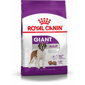 Emaga Karma Royal Canin Giant Adult 15 kg Dorosy - 2877658773